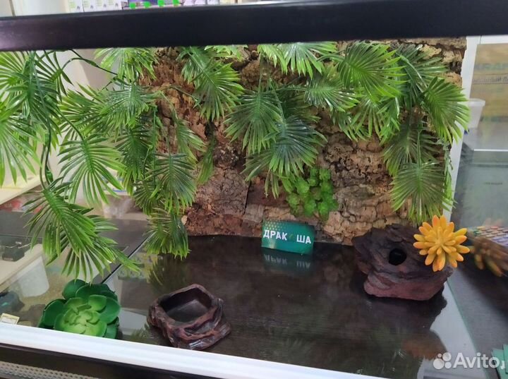 Террариум для рептилий