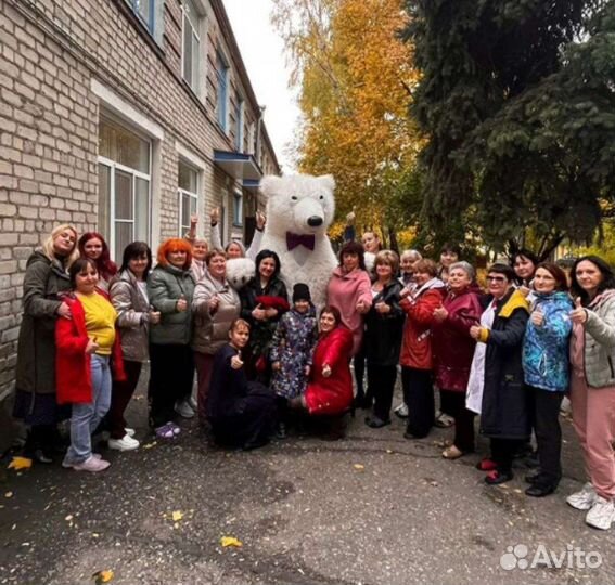 Заказать медведя на день рождения