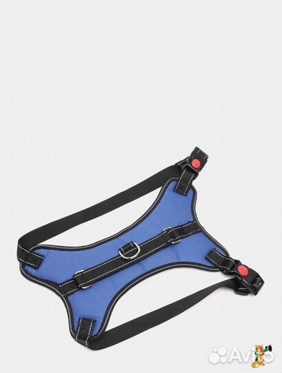 Шлейка для собаки