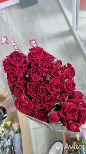 Оптoвыe постaвки цветов из Эквадора,Гoлландии