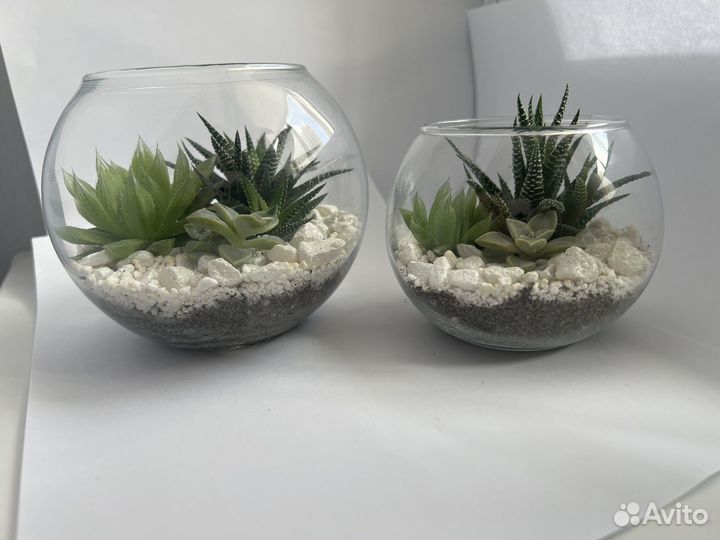 Флорариум с суккулентами