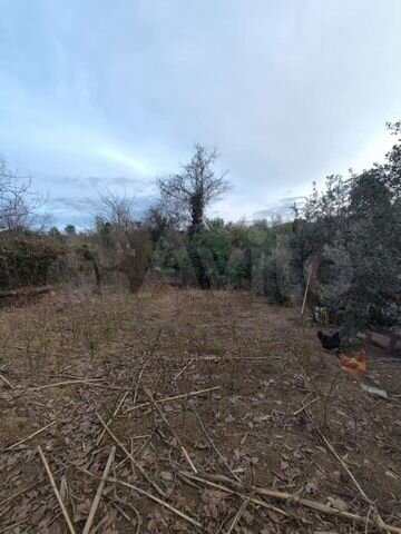 Участок 8 сот. (ИЖС)