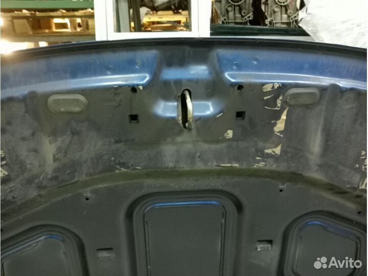 Капот, 651000987R renault duster, 3043956