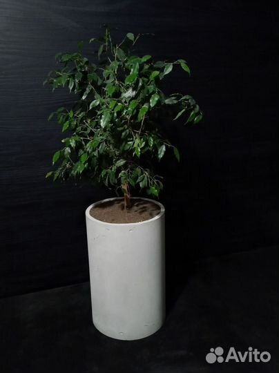 Вазоны, Горшки, Кашпо под заказ из бетона