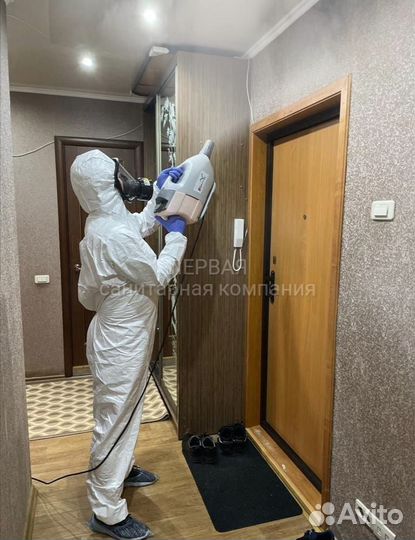 Уничтожение клопов, тараканов, мышей