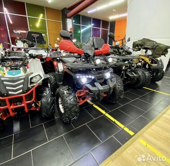 Квадроцикл motorhead 125 hammer