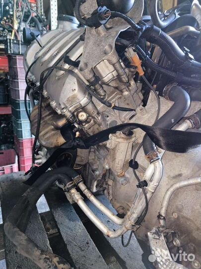 Двигатель M4800 Porsche Cayenne 4.5 Бензин