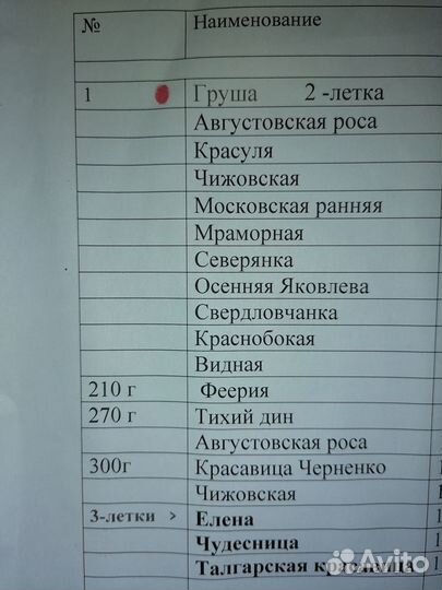 Саженцы груши