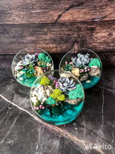 Флорариум. Подарок