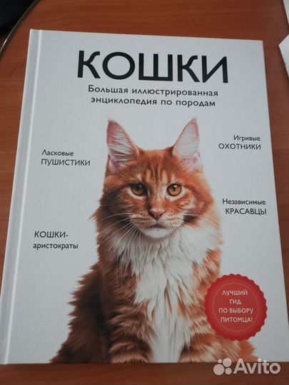 Энциклопедия породы кошек