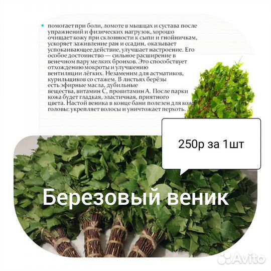 Веники для бани,березовые вен,дуб вен, запарки