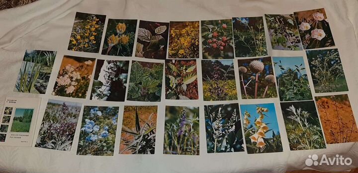 Советские открытки (часть 2)