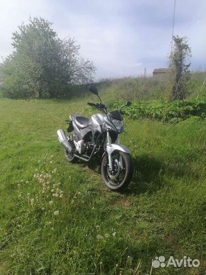Stels flex 250