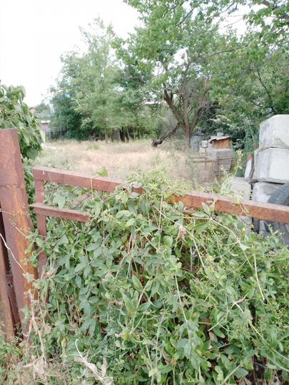 Участок 6,5 сот. (ИЖС)