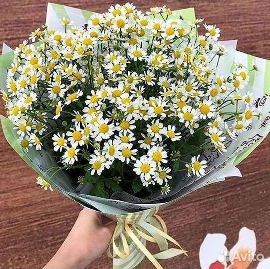 Букеты ромашек