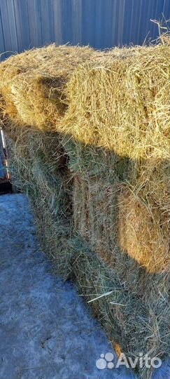 Сено