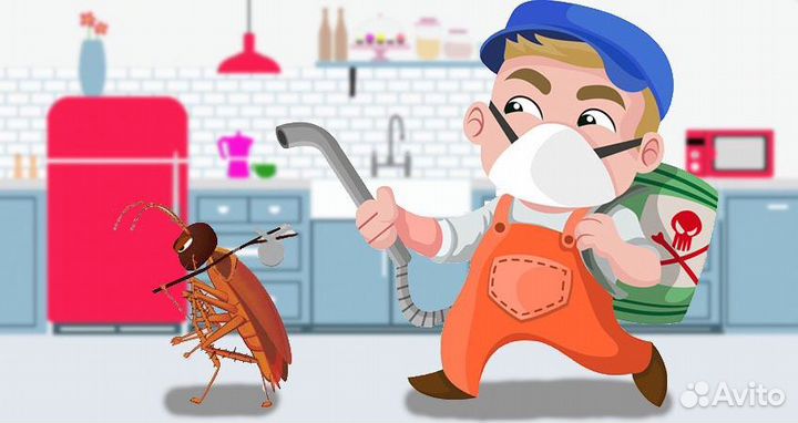 Уничтожение - клопы,тараканы,осы,муравьи