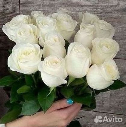 Высокие розы Гигантские розы Доставка цветов