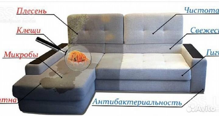 Моющий пылесос и пароочиститель в аренду