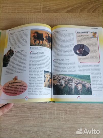 Энциклопедия. Хочешь знать почему