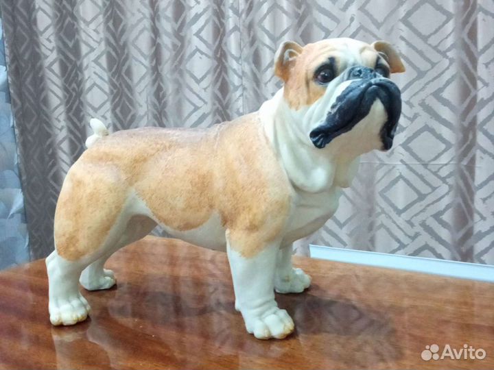 Английский бульдог
