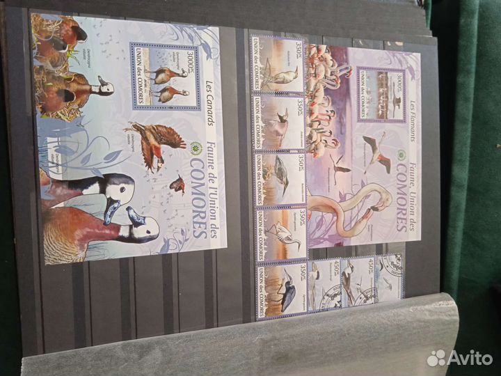 Огромная коллекция марок флора и фауна