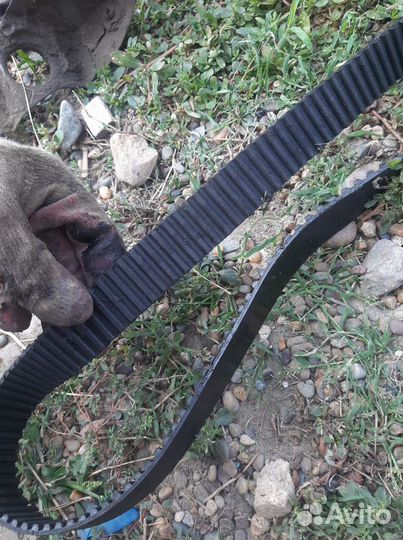 Ремень грм на Мазда Кседос,Миления