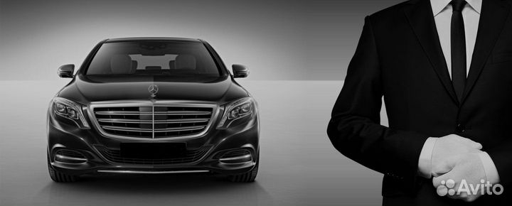 Водитель (трезвый, служебный, семейный)