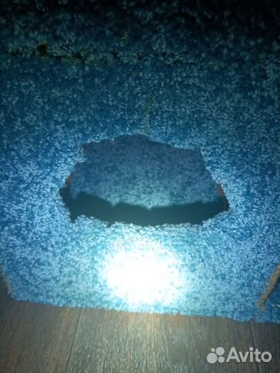 Дом когтеточка