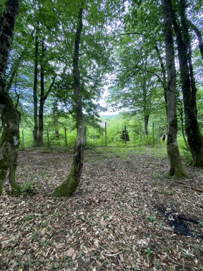 Участок 30 сот. (ИЖС)