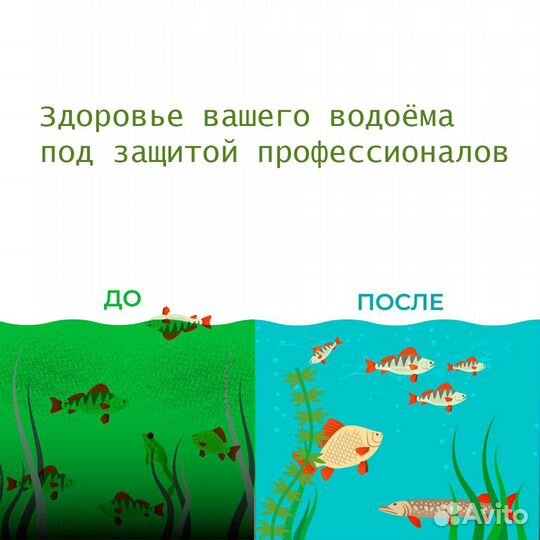 Хлорелла с доставкой