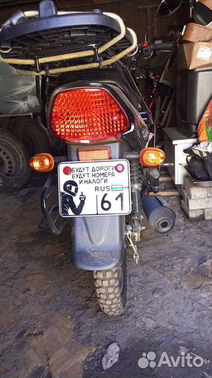 Продам поника