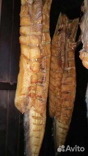 Рыба копченая