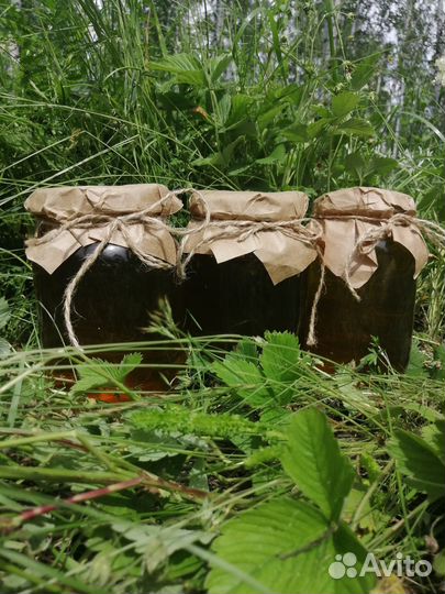 Луговой Майский Мед 2024 год