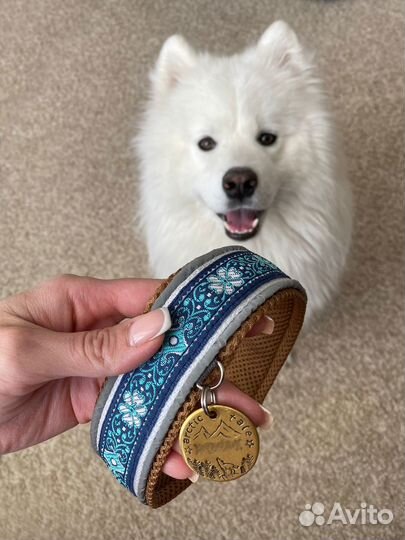 Ошейник для собак