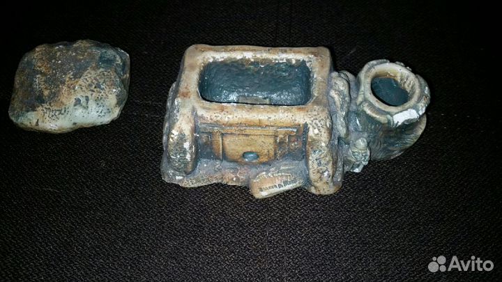 Водоросли для аквариума