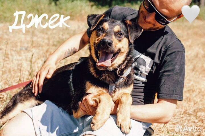 Джек из приюта