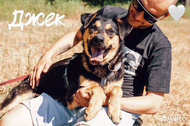 Джек из приюта