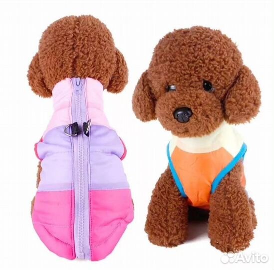 Жилетка для собак мелких пород