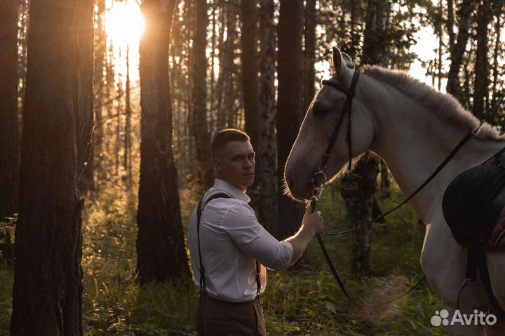 Прокат лошадей