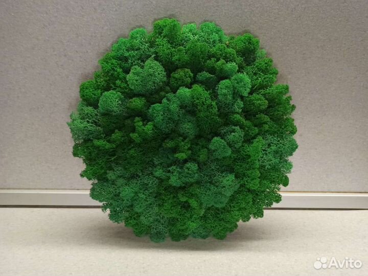 Декоративное панно из стабилизированного мха