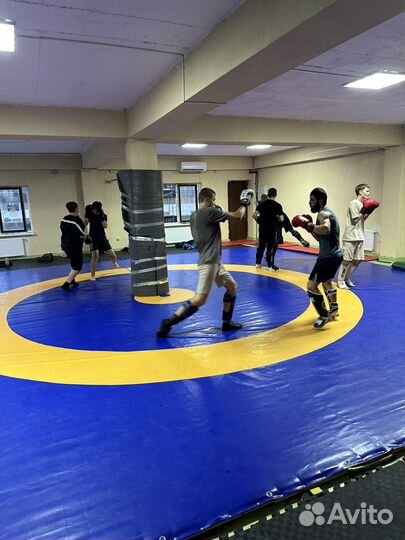 Мма,борьба (тренировки для детей и взрослых)