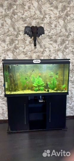 Аквариум