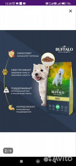 Сухой корм для собак