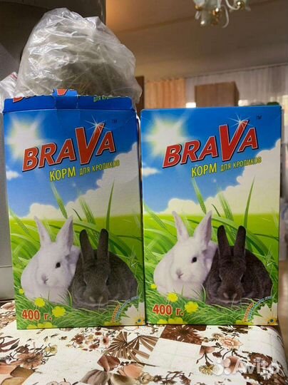 Корм, цена за все