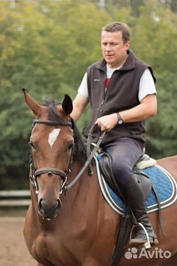 Занятия конным спортом, верховая езда, конкур