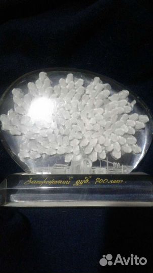 Сувенир запорожский дуб.700лет