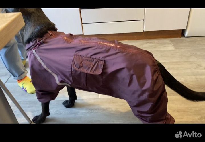 Дождевик для собак