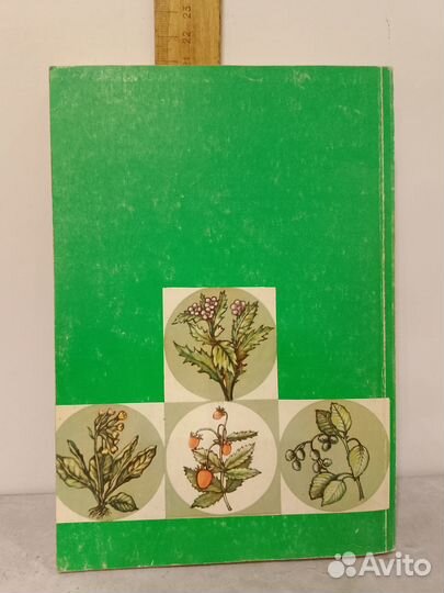 Ладынина Е. А. Травник для всех