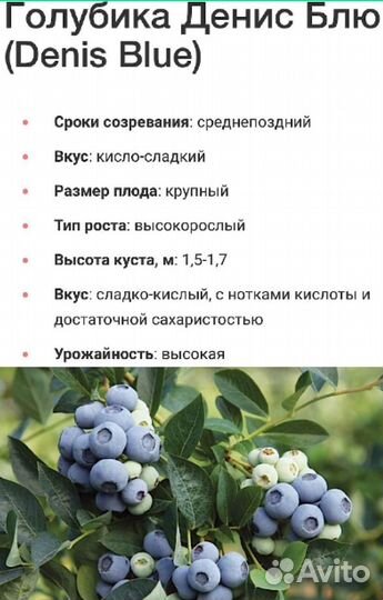 Редкие садовые растения